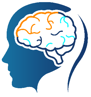 İnteraktif Hizmetler